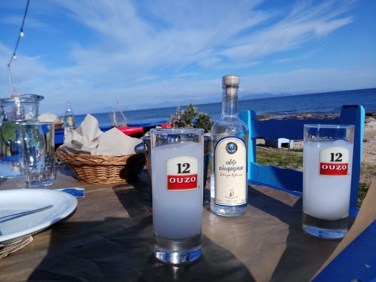 Georgias House 7 Min From Athens Airport Artemida (Attica)